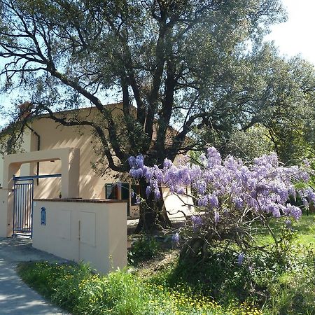 Al Vecchio Leccio ξενώνας Πιστόια Εξωτερικό φωτογραφία