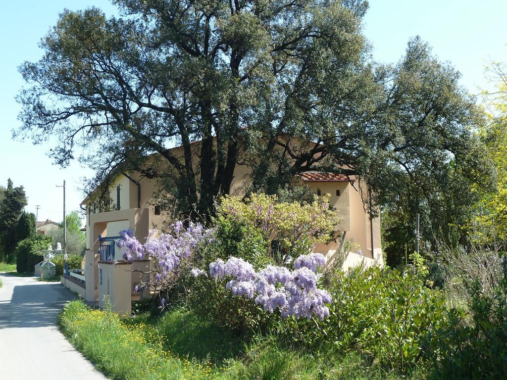Al Vecchio Leccio ξενώνας Πιστόια Εξωτερικό φωτογραφία