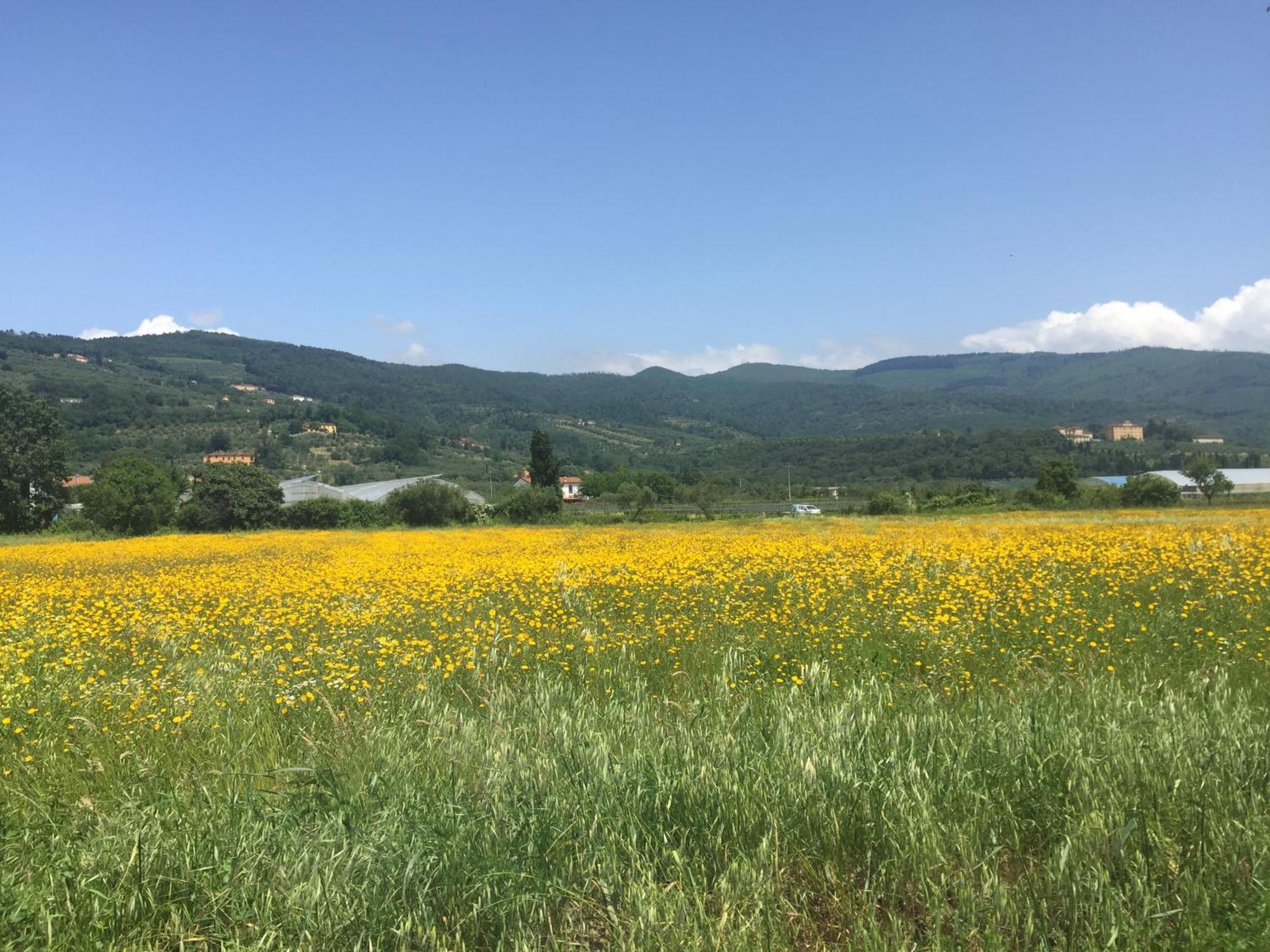 Al Vecchio Leccio ξενώνας Πιστόια Εξωτερικό φωτογραφία